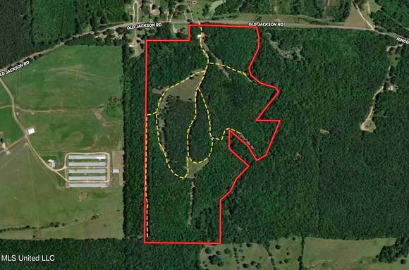92 Acres of Recreational Land for Sale in Forest, Mississippi