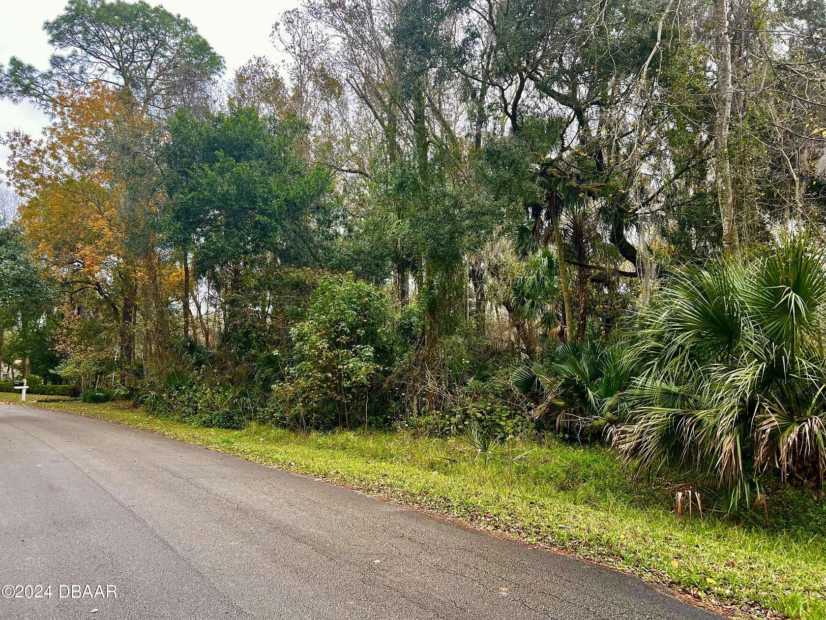 2.34 Acres of Residential Land for Sale in Ormond Beach, Florida
