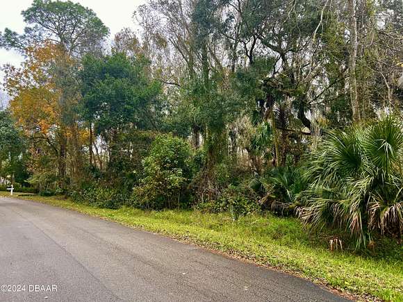 2.3 Acres of Residential Land for Sale in Ormond Beach, Florida