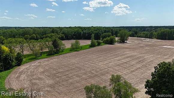 40 Acres of Recreational Land for Sale in Clifford, Michigan