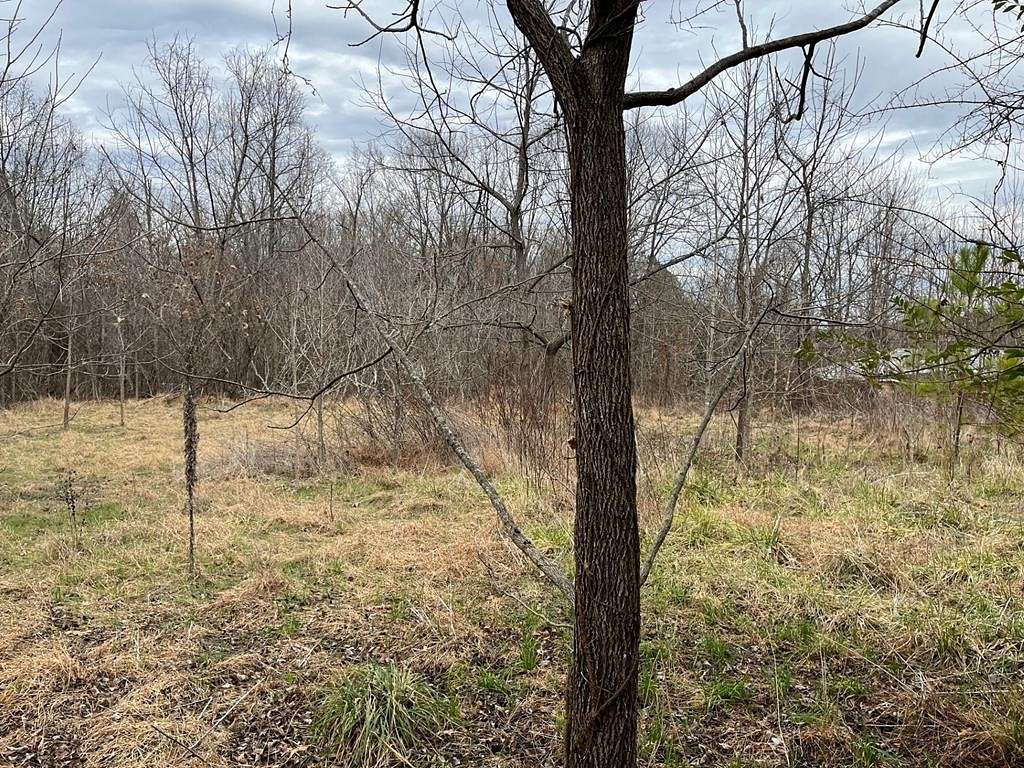 3.1 Acres of Residential Land for Sale in Paris, Tennessee