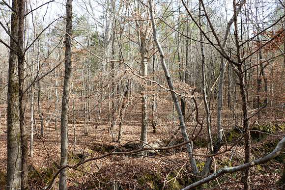 115 Acres of Recreational Land for Sale in Thaxton, Mississippi