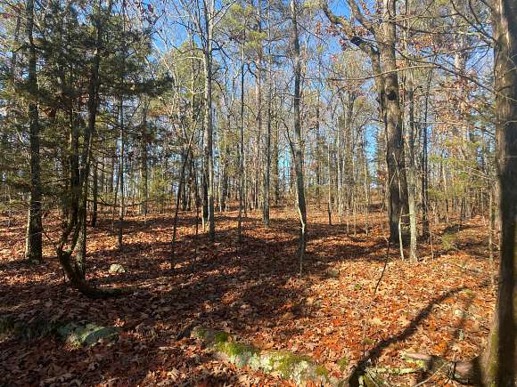 10 Acres of Recreational Land for Sale in Brownsville, Arkansas
