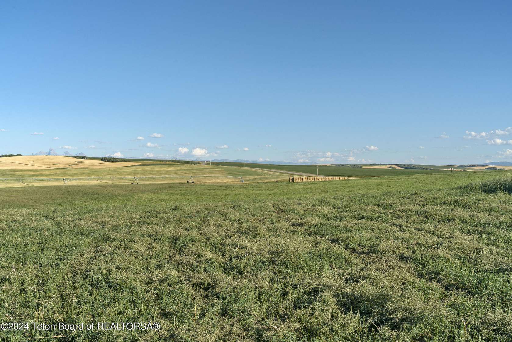 42.8 Acres of Agricultural Land for Sale in Drummond, Idaho