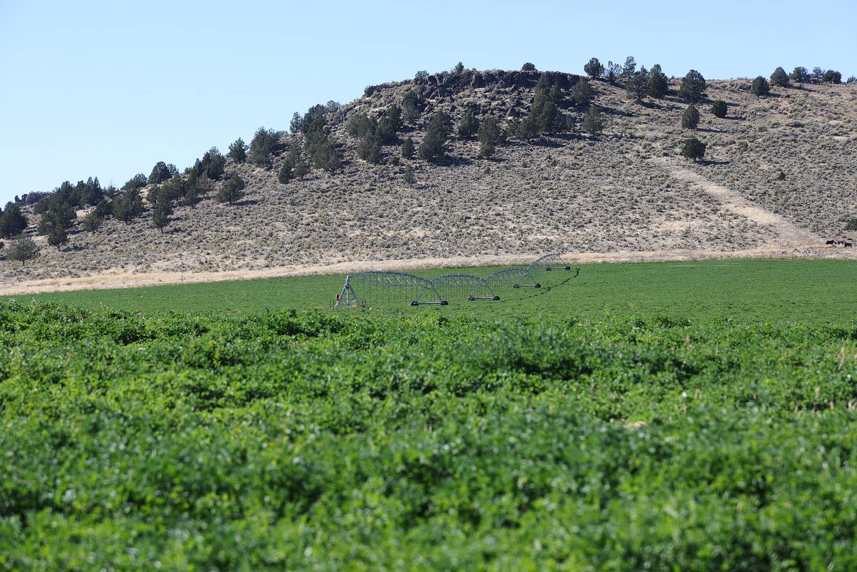 454 Acres of Agricultural Land with Home for Sale in Burns, Oregon