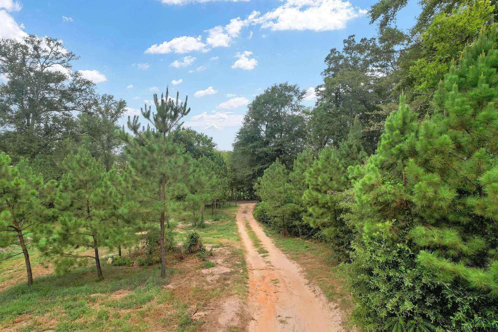 22.9 Acres of Land for Sale in Gilmer, Texas