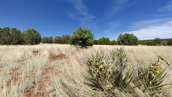 1.2 Acres of Residential Land for Sale in Concho, Arizona