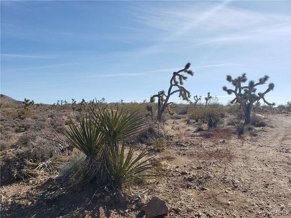3.1 Acres of Land for Sale in White Hills, Arizona