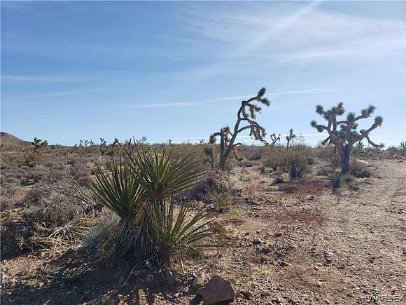 3.1 Acres of Land for Sale in White Hills, Arizona