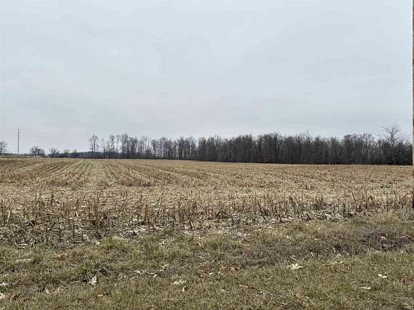 18 Acres of Agricultural Land for Sale in Butler, Indiana
