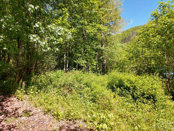 26 Acres of Land for Sale in Marshall, North Carolina