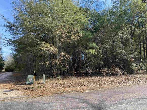 1.1 Acres of Residential Land for Sale in Wagener, South Carolina