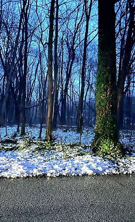 0.22 Acres of Land for Sale in New Carlisle, Indiana