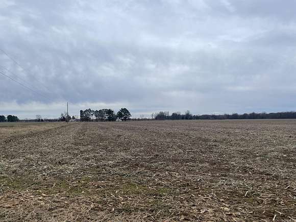 58 Acres of Agricultural Land for Sale in Portia, Arkansas