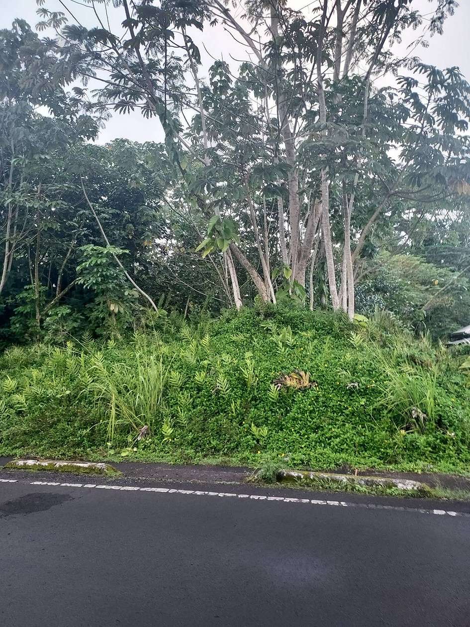 0.35 Acres of Land for Sale in Pahoa, Hawaii