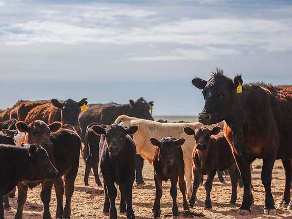 2,512 Acres of Agricultural Land for Sale in Jordan Valley, Oregon