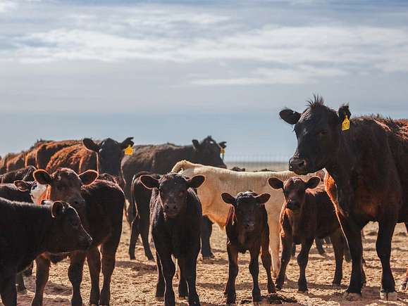 2,662 Acres of Agricultural Land for Sale in Jordan Valley, Oregon