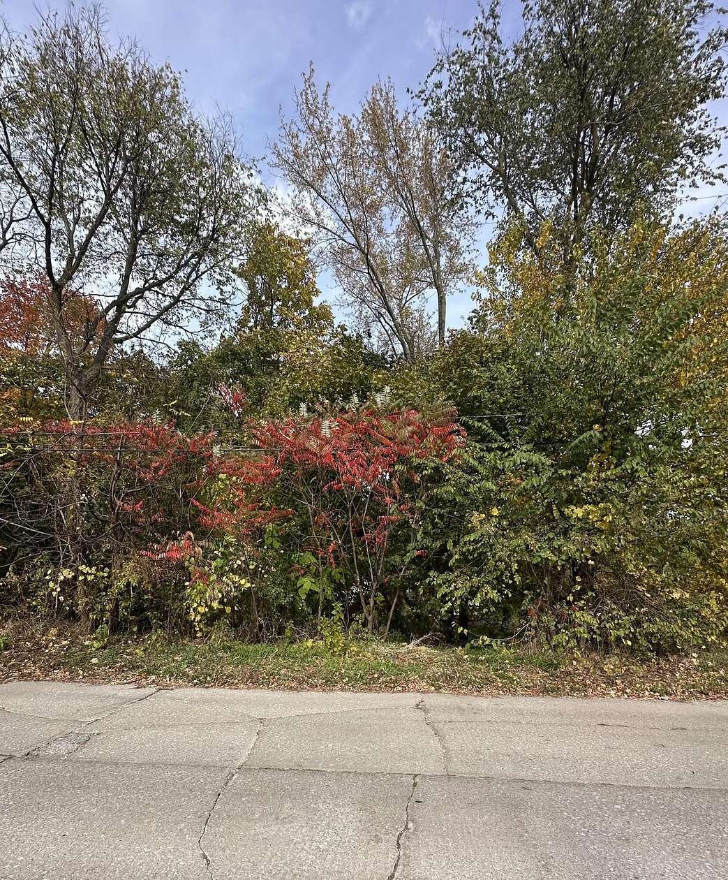 0.11 Acres of Residential Land for Sale in La Porte, Indiana