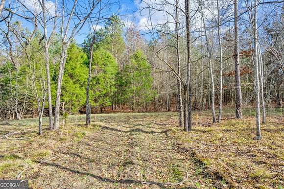 64.1 Acres of Recreational Land for Sale in Carlton, Georgia