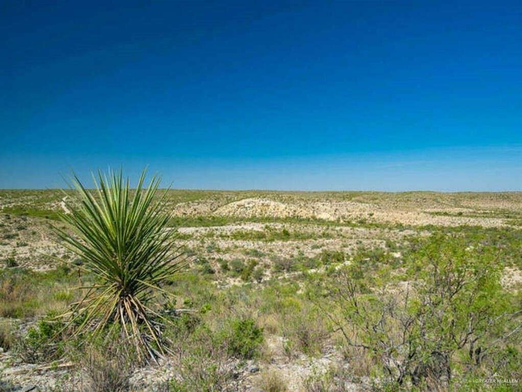 98.7 Acres of Recreational Land & Farm for Sale in Dryden, Texas