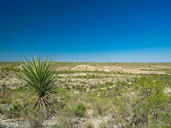 98.7 Acres of Recreational Land & Farm for Sale in Dryden, Texas
