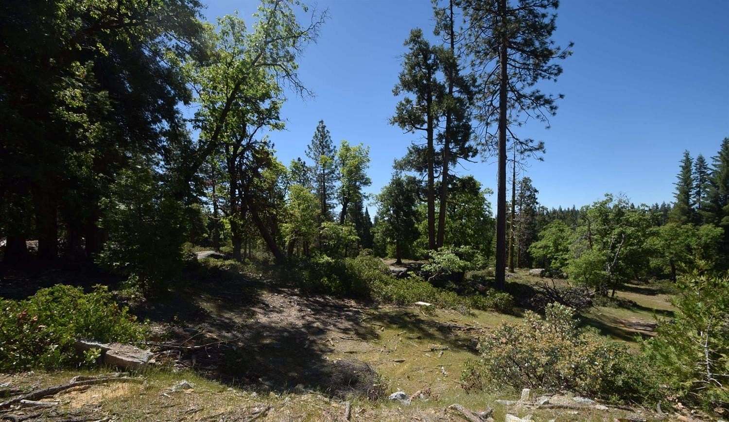 0.54 Acres of Residential Land for Sale in Shaver Lake, California