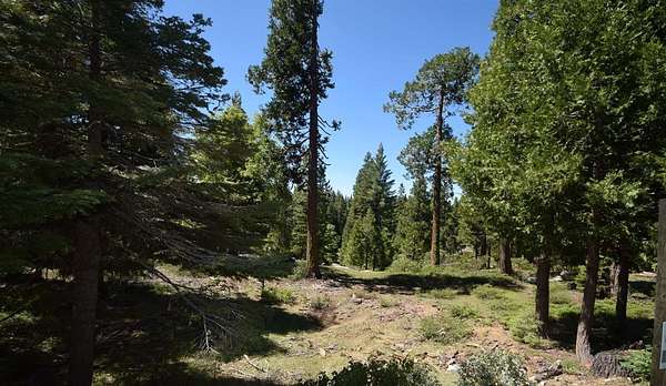 0.53 Acres of Residential Land for Sale in Shaver Lake, California