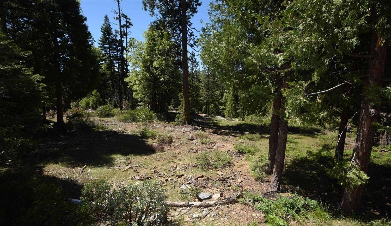 0.52 Acres of Residential Land for Sale in Shaver Lake, California