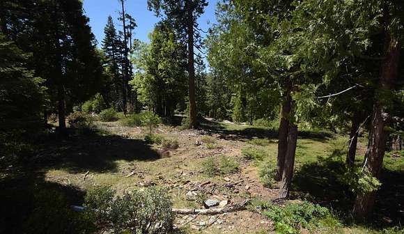 0.52 Acres of Residential Land for Sale in Shaver Lake, California