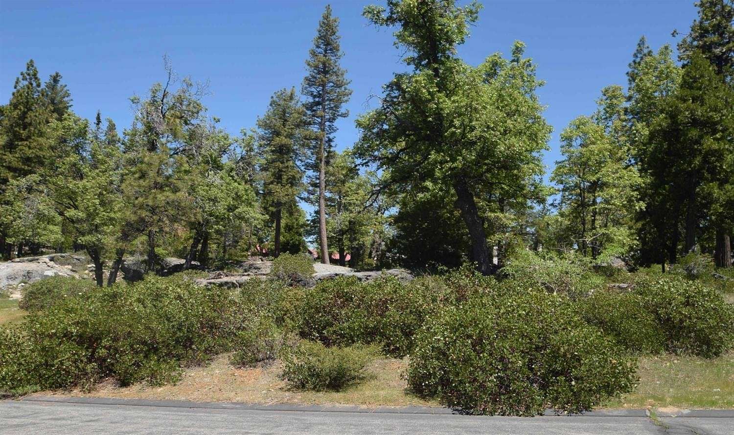 0.61 Acres of Residential Land for Sale in Shaver Lake, California