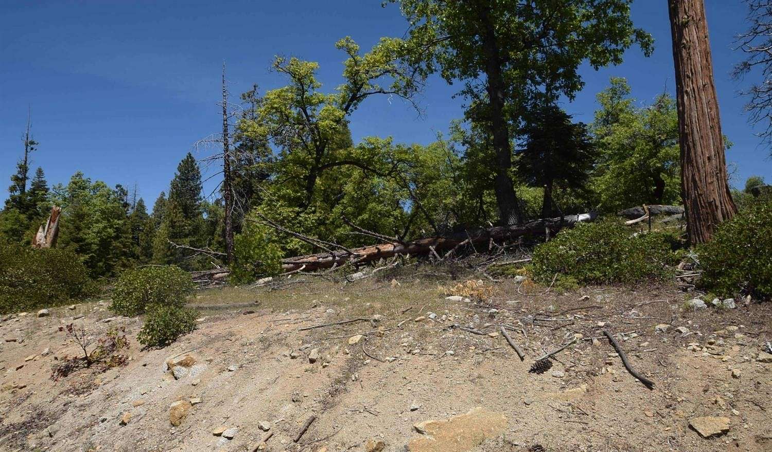 0.51 Acres of Residential Land for Sale in Shaver Lake, California