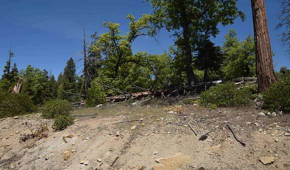 0.51 Acres of Residential Land for Sale in Shaver Lake, California
