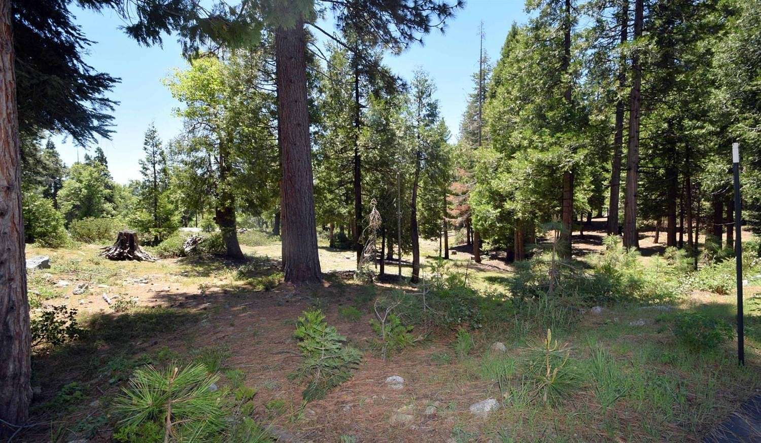 0.5 Acres of Residential Land for Sale in Shaver Lake, California