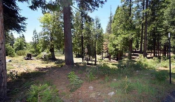 0.5 Acres of Residential Land for Sale in Shaver Lake, California