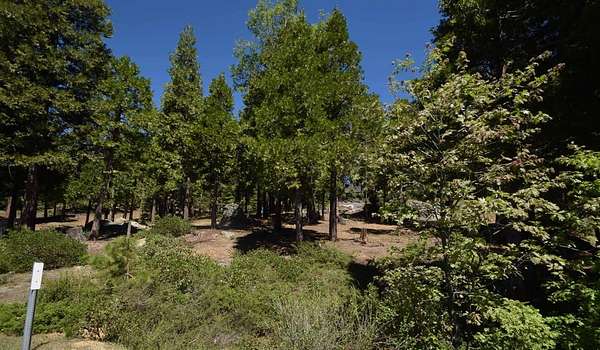 0.53 Acres of Residential Land for Sale in Shaver Lake, California