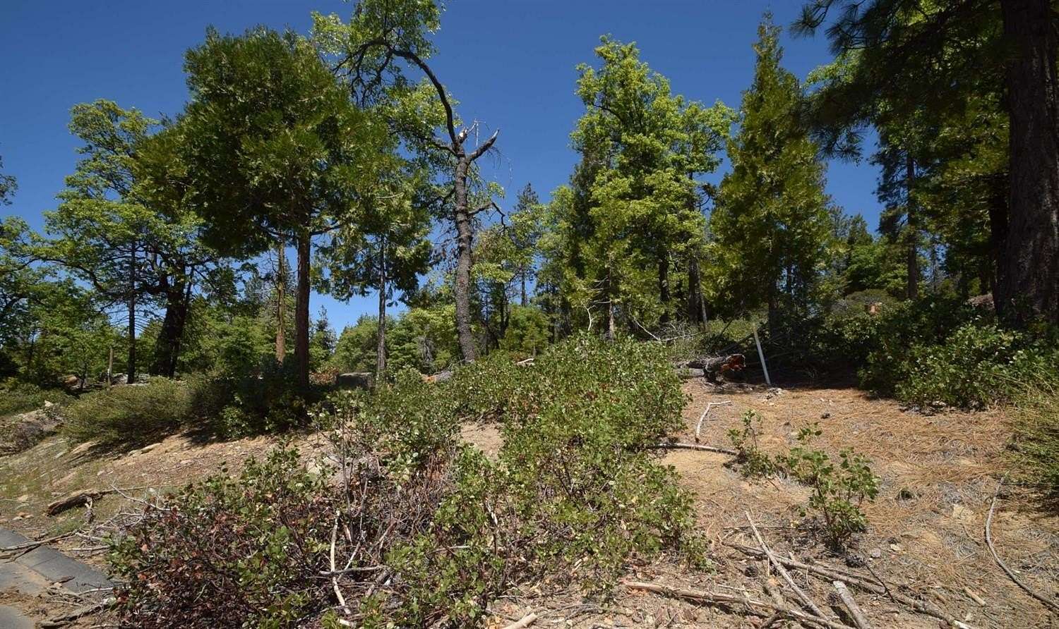 0.52 Acres of Residential Land for Sale in Shaver Lake, California