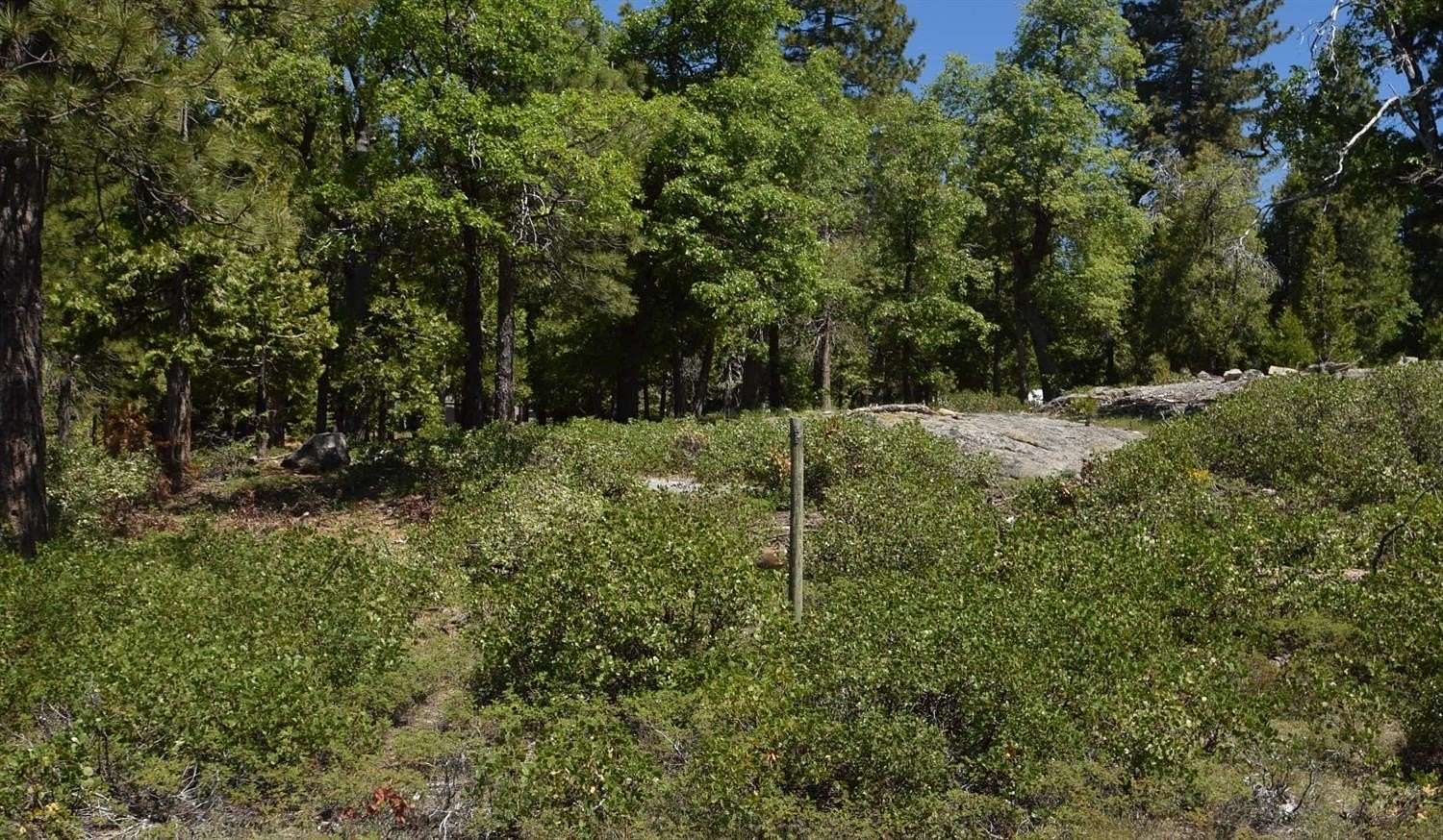 0.56 Acres of Residential Land for Sale in Shaver Lake, California