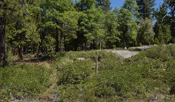 0.56 Acres of Residential Land for Sale in Shaver Lake, California