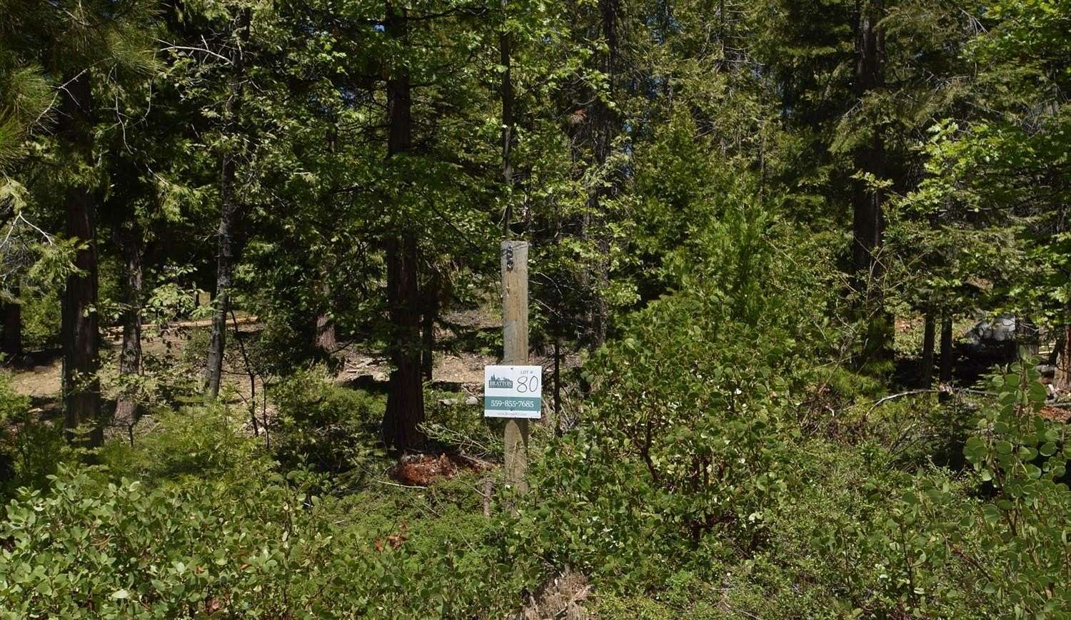 0.54 Acres of Residential Land for Sale in Shaver Lake, California
