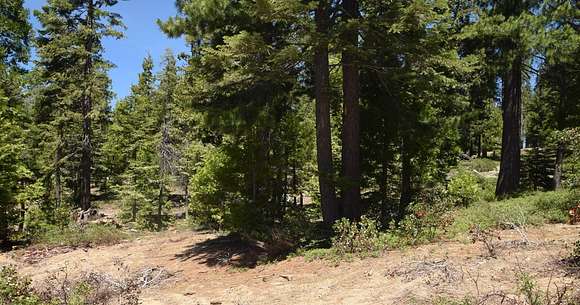 0.54 Acres of Residential Land for Sale in Shaver Lake, California