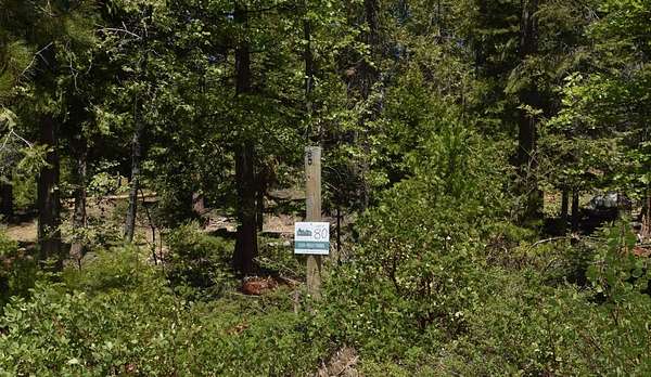 0.54 Acres of Residential Land for Sale in Shaver Lake, California