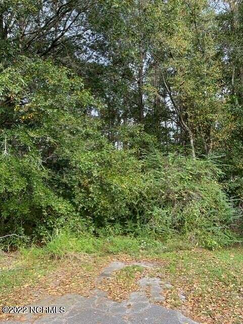6.2 Acres of Residential Land for Sale in Chadbourn, North Carolina