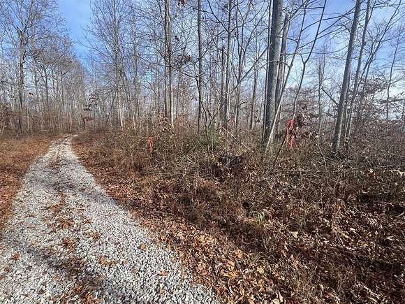 52.1 Acres of Recreational Land for Sale in Breeding, Kentucky