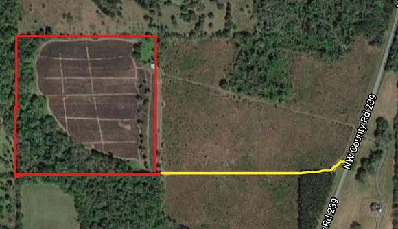 38.9 Acres of Agricultural Land for Sale in Alachua, Florida