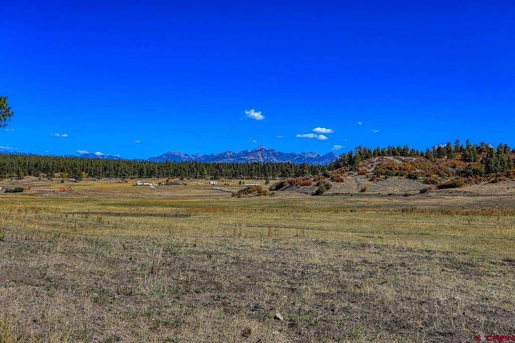 107 Acres of Agricultural Land for Sale in Pagosa Springs, Colorado