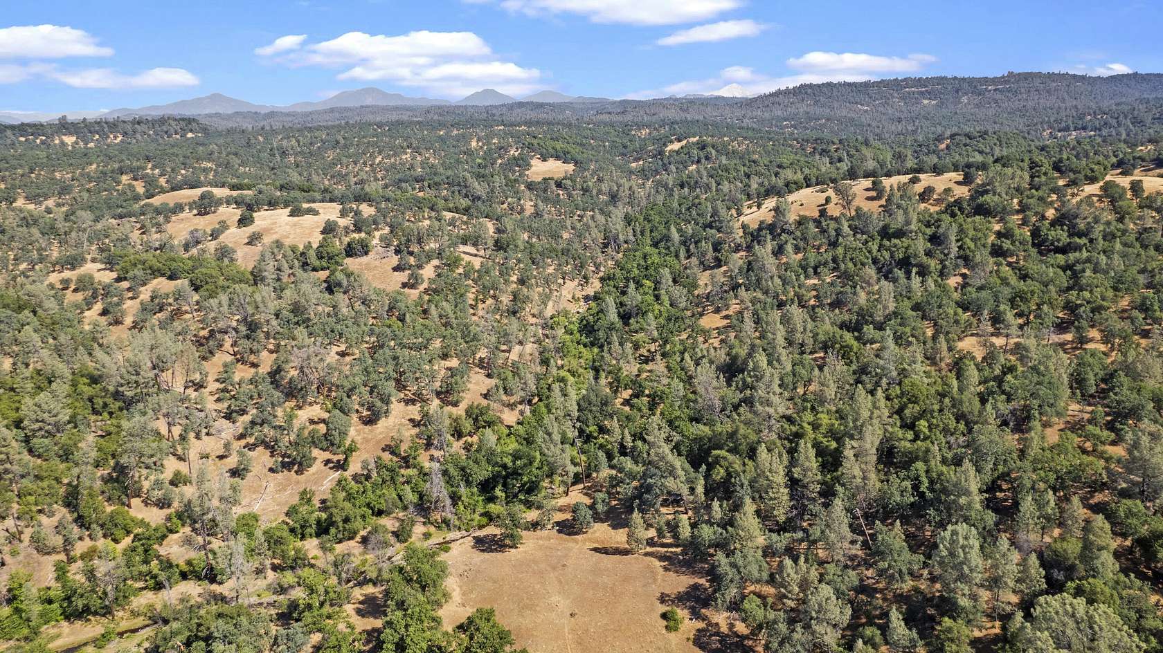 174 Acres of Agricultural Land for Sale in Oak Run, California