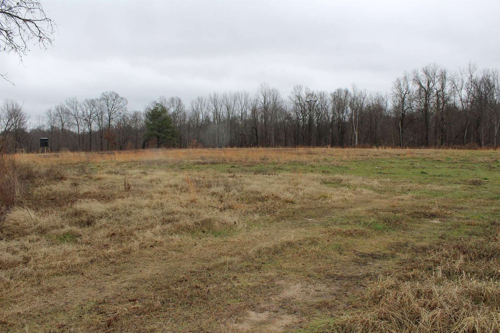 10 Acres of Residential Land for Sale in Ripley, Tennessee