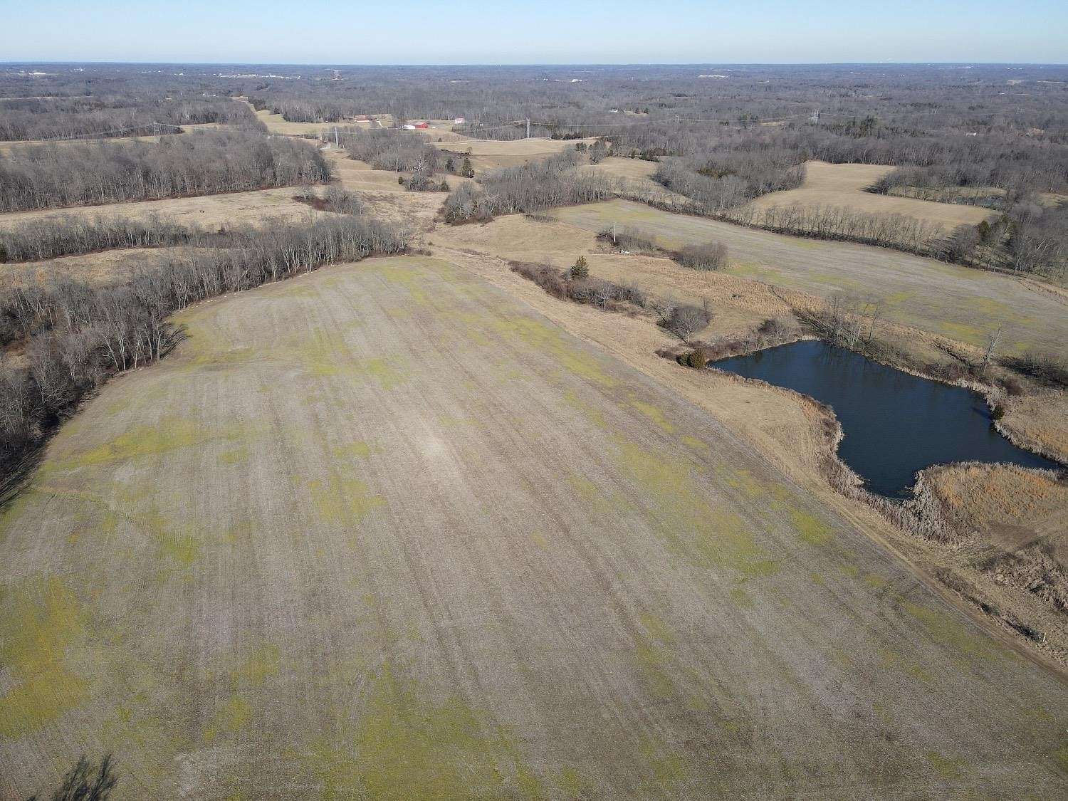 80.429 Acres of Land for Sale in Vevay, Indiana