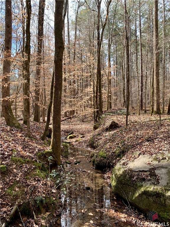 113 Acres of Recreational Land for Sale in Carlton, Georgia