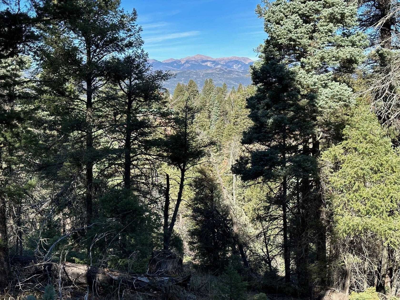 2 Acres of Land for Sale in Angel Fire, New Mexico